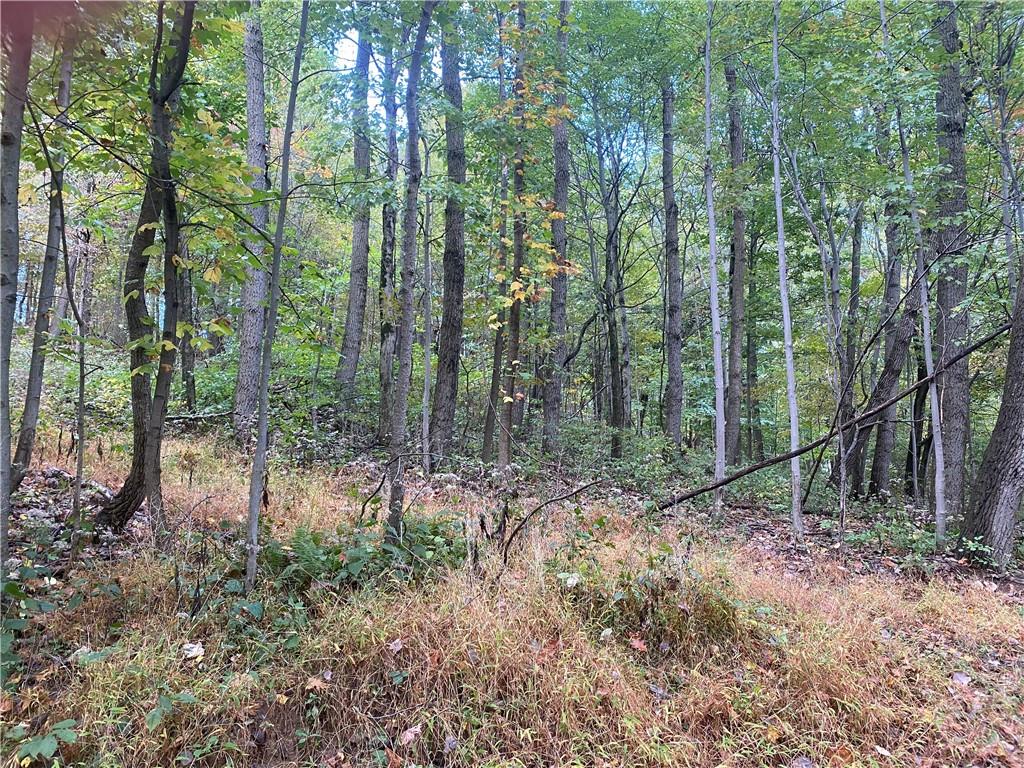 0 Lions Health Camp Road Indiana, PA 15701 - Photo 7 of 12 a view of a forest with trees in the background