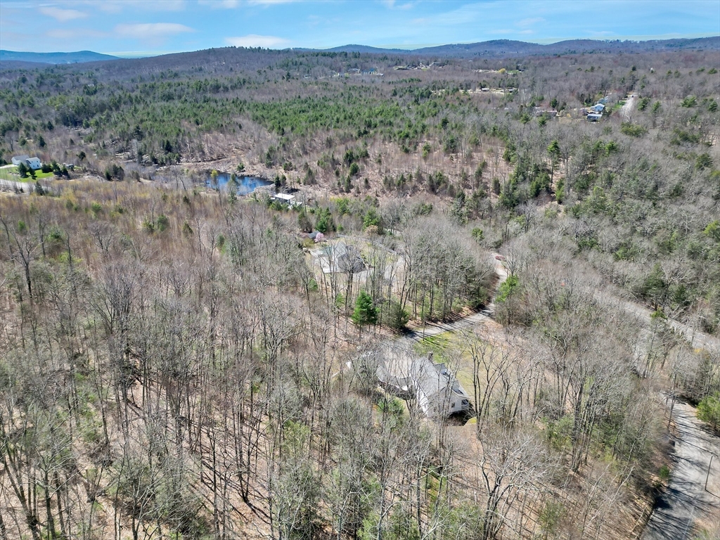 20 Upper Hampden Road Monson, MA 01057 - Photo 39 of 39 a view of a forest with trees in the background