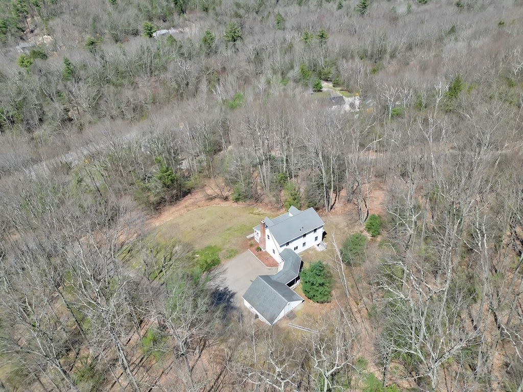 20 Upper Hampden Road Monson, MA 01057 - Photo 5 of 39 a view of a yard with a tree