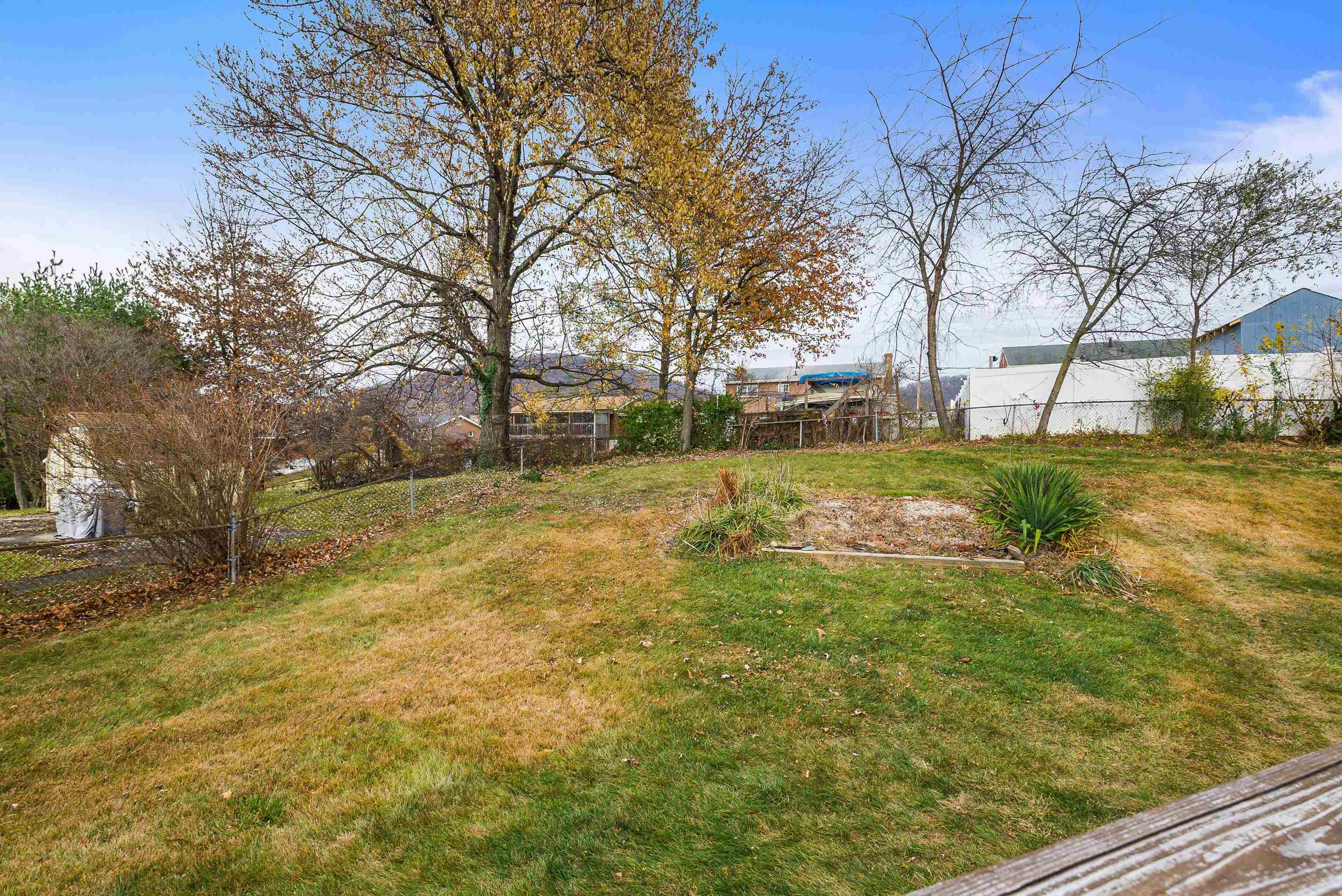 815 Rutherford Street Staunton, VA 24401 - Photo 43 of 56 a view of yard with tree