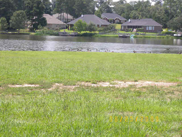 Lot 30 Edgewater Circle Loxley, AL 36551 - Photo 2 of 2