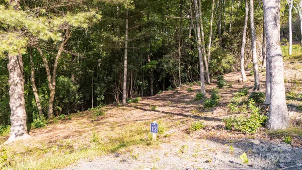 $79,900 | 0 Clear Creek Drive, Unit 12, Spruce Pine, NC 28777