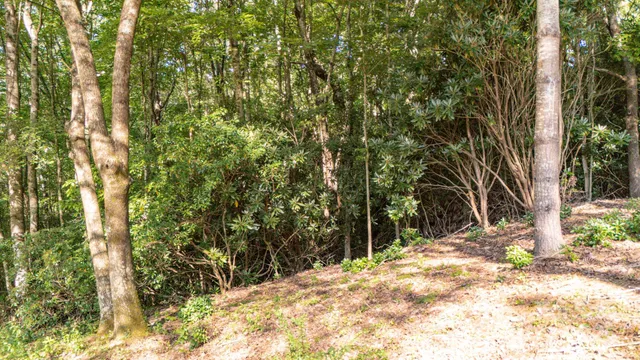 $82,500 | 0 Clear Creek Drive, Unit 12, Spruce Pine, NC 28777