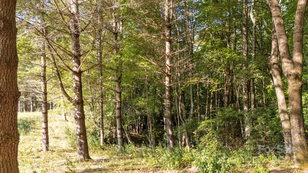 $79,900 | 0 Clear Creek Drive, Unit 12, Spruce Pine, NC 28777