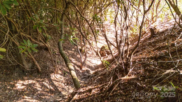 $82,500 | 0 Clear Creek Drive, Unit 12, Spruce Pine, NC 28777