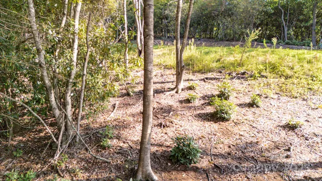 $82,500 | 0 Clear Creek Drive, Unit 12, Spruce Pine, NC 28777