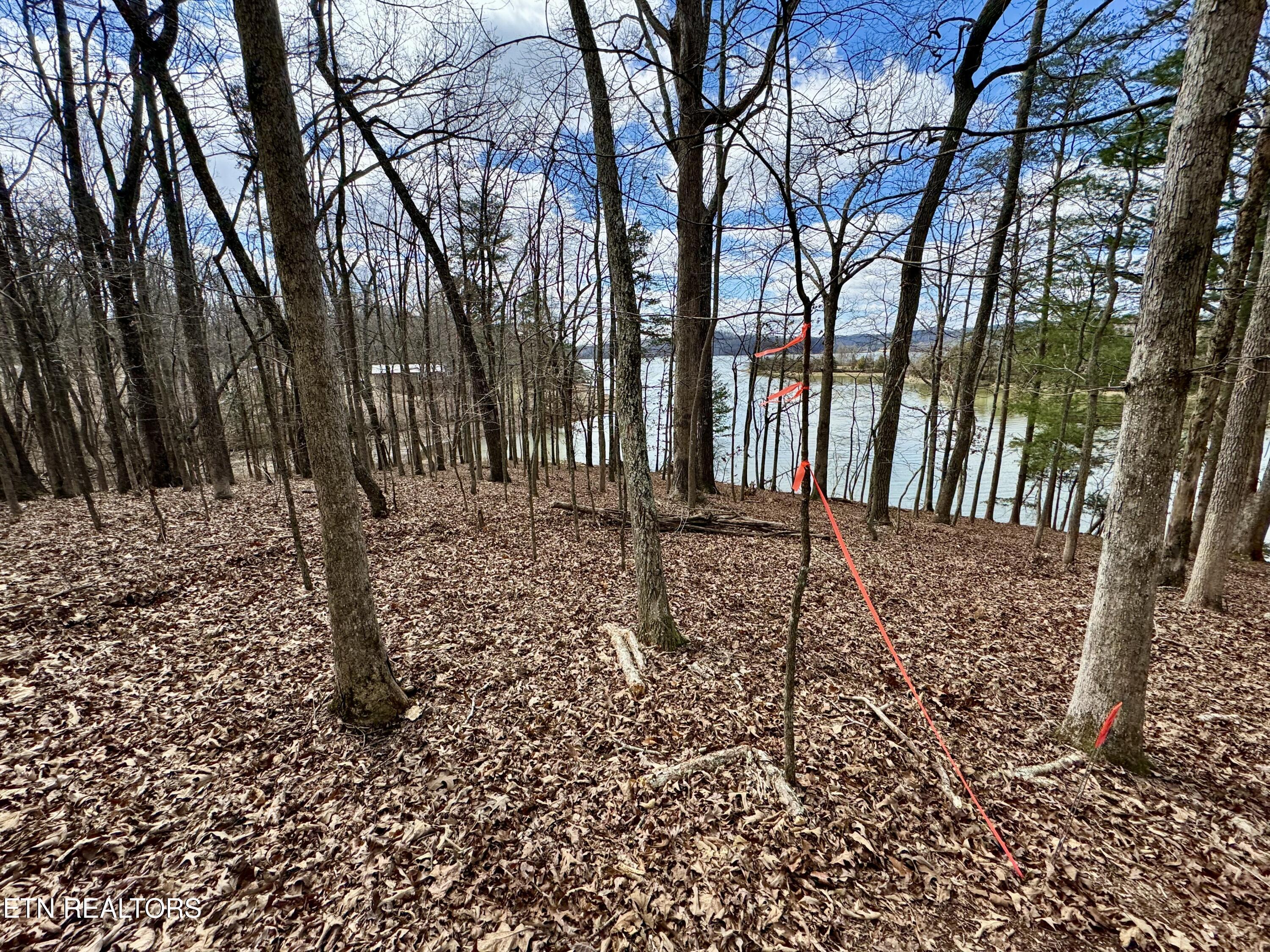134 Hart Orchard Road Kingston, TN 37763 - Photo 13 of 37 tempImagetobFEy
