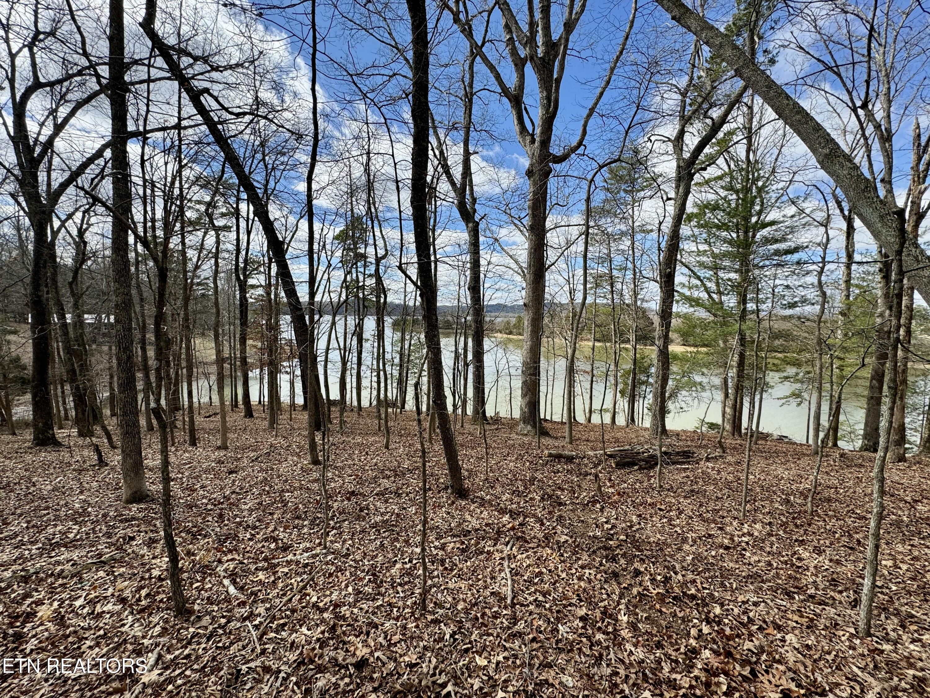 134 Hart Orchard Road Kingston, TN 37763 - Photo 14 of 37 tempImageuOnEmk