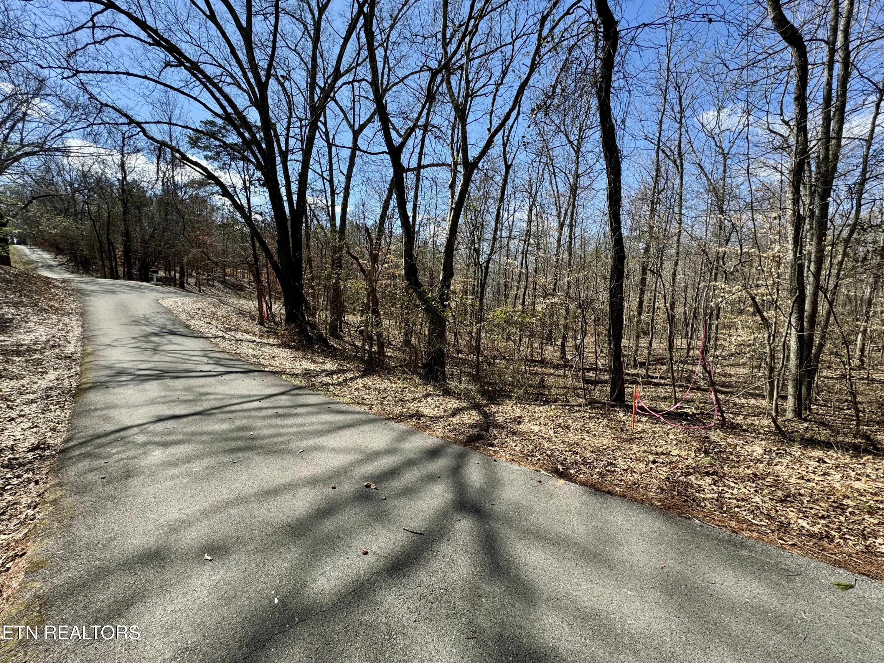 134 Hart Orchard Road Kingston, TN 37763 - Photo 20 of 37 tempImageOe8N8t