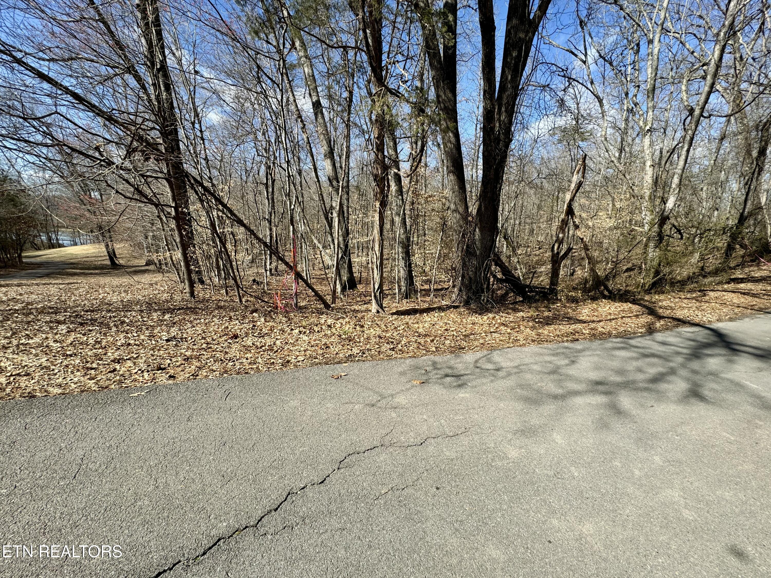 134 Hart Orchard Road Kingston, TN 37763 - Photo 22 of 37 tempImageINp1cf