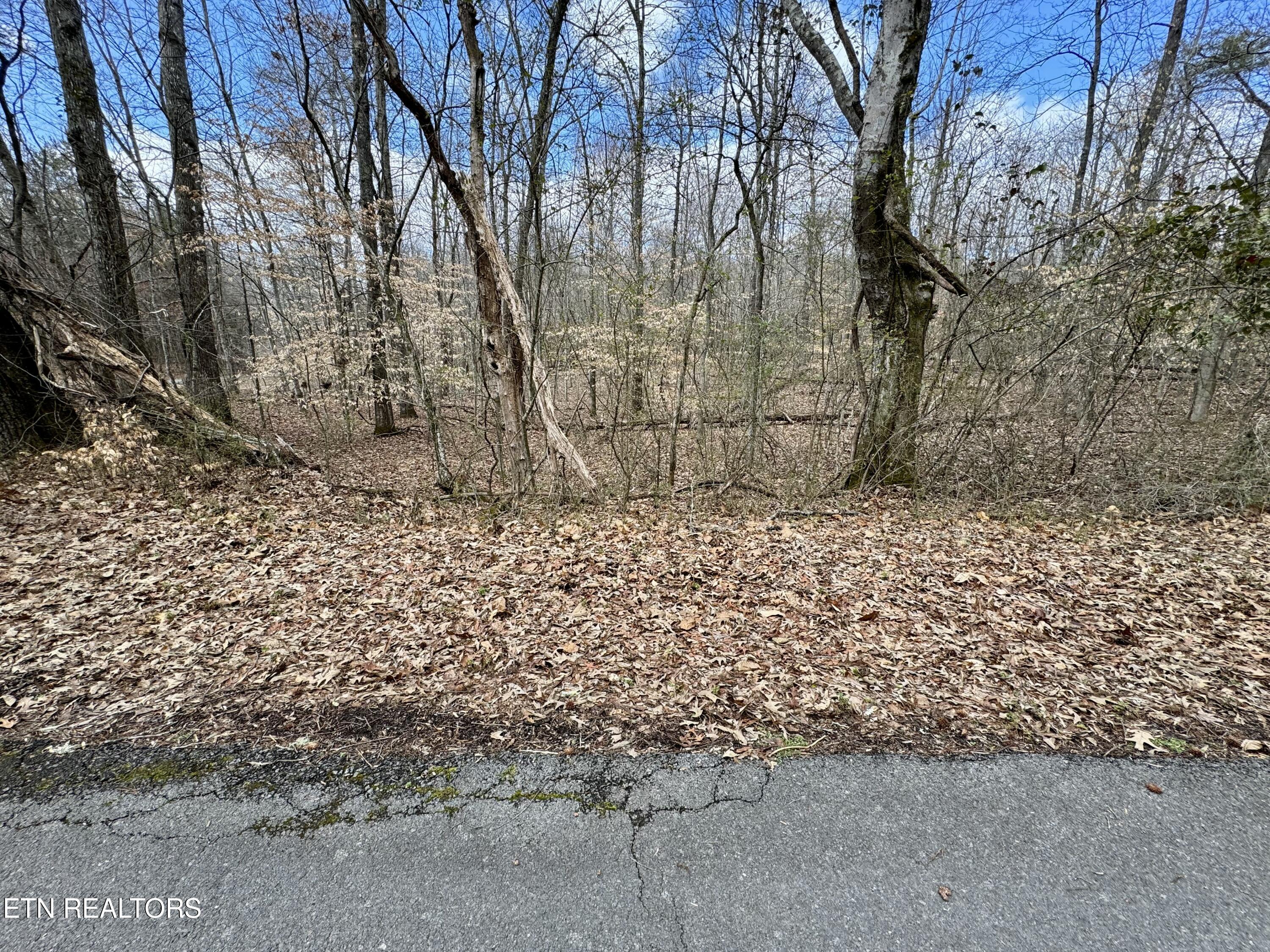 134 Hart Orchard Road Kingston, TN 37763 - Photo 23 of 37 tempImageYbNANn