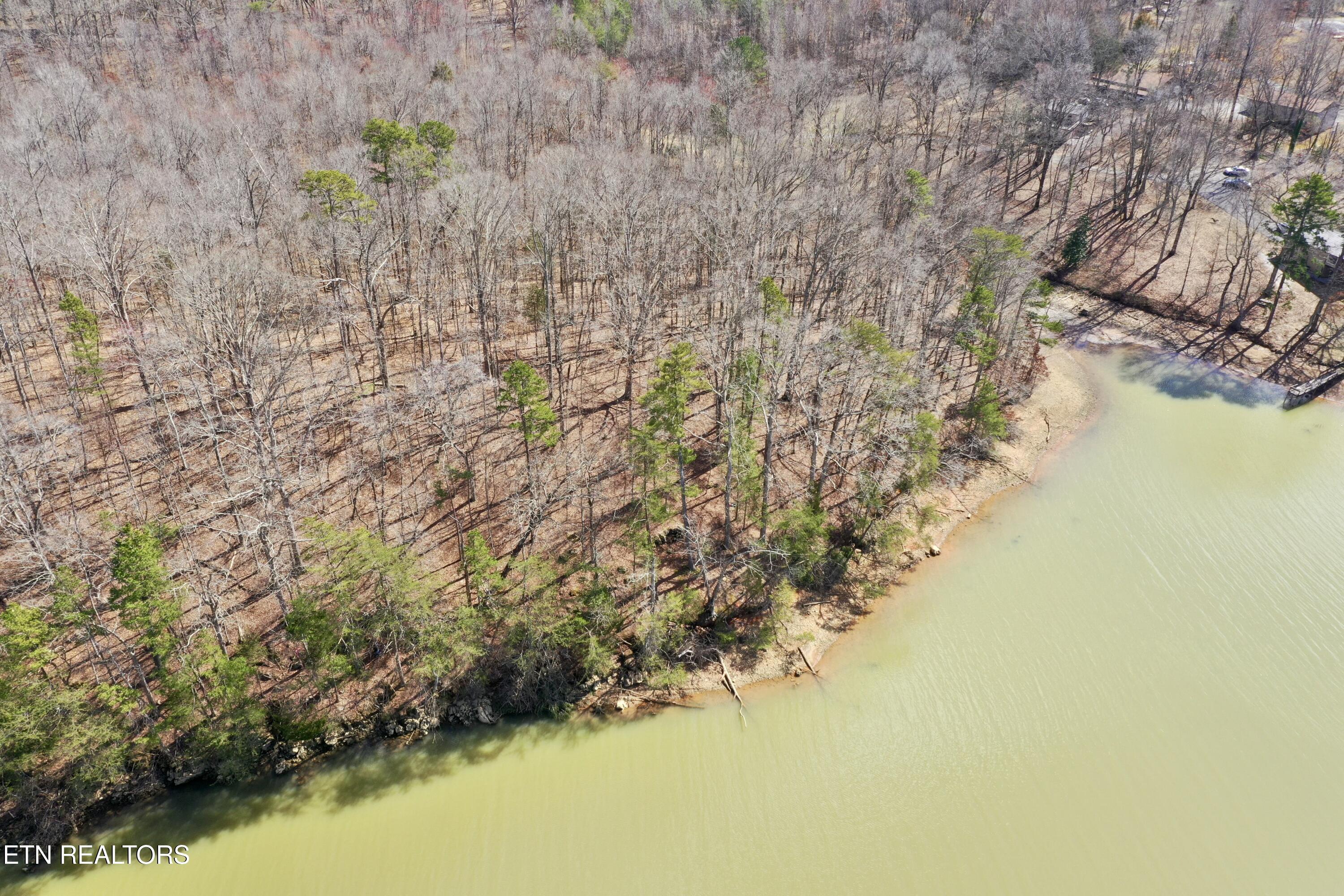 134 Hart Orchard Road Kingston, TN 37763 - Photo 28 of 37 tempImage0CJCmI