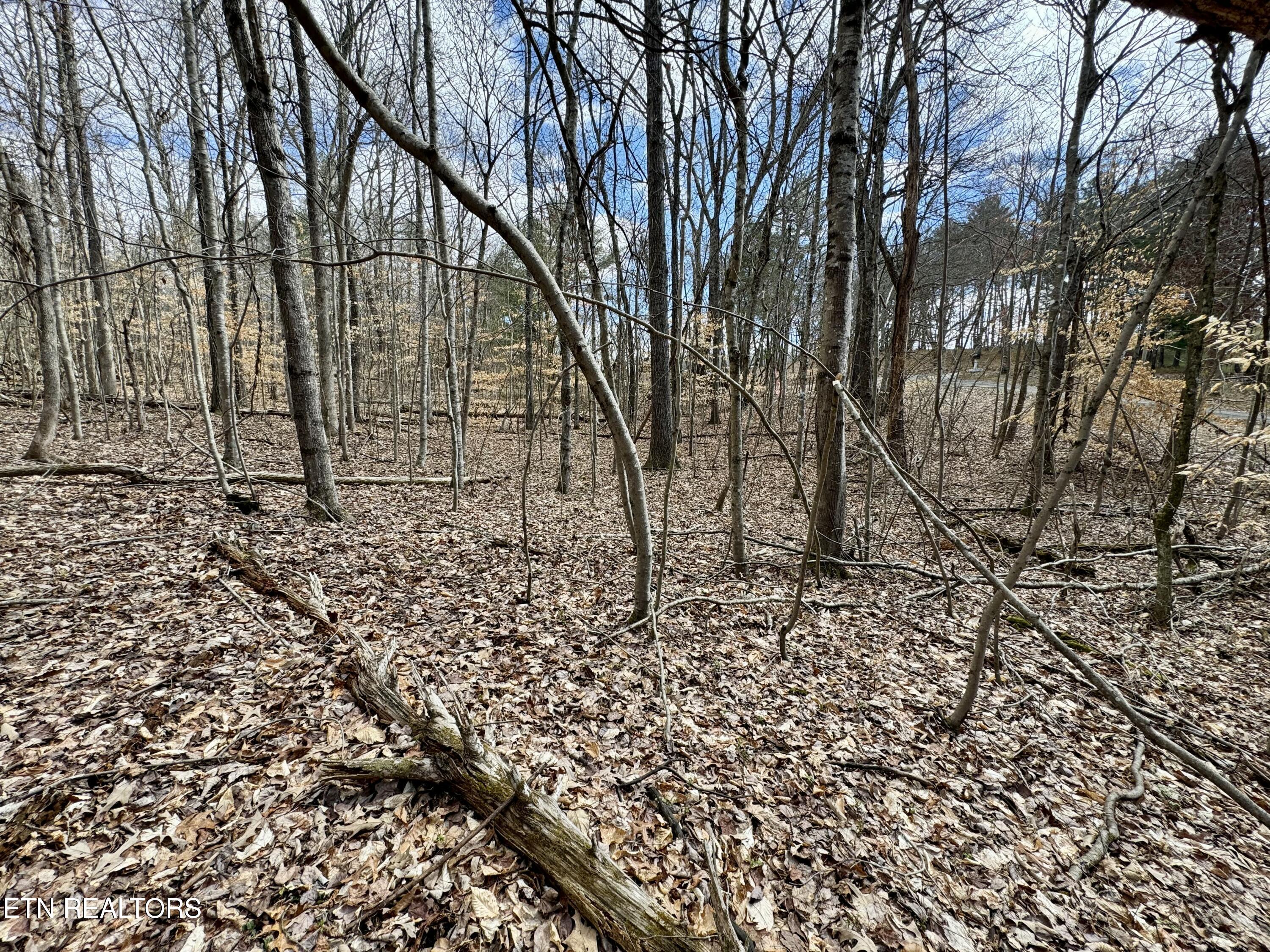 134 Hart Orchard Road Kingston, TN 37763 - Photo 30 of 37 tempImage9UoYjl