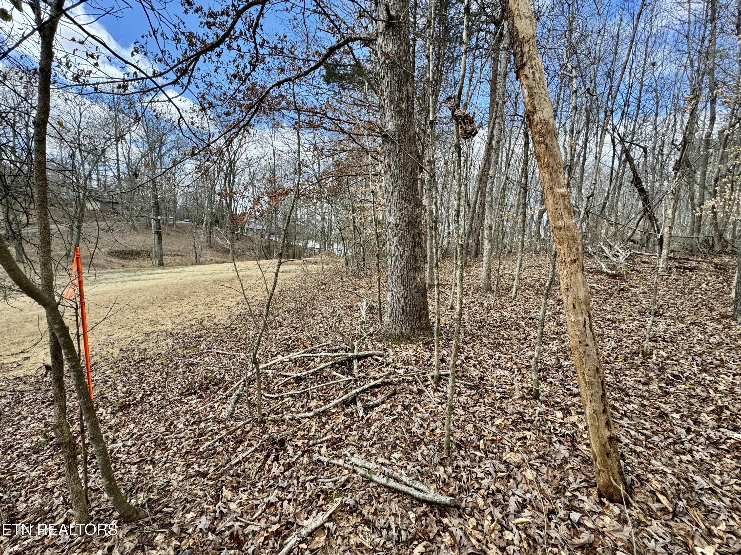 134 Hart Orchard Road Kingston, TN 37763 - Photo 32 of 37 tempImageNzMrpK