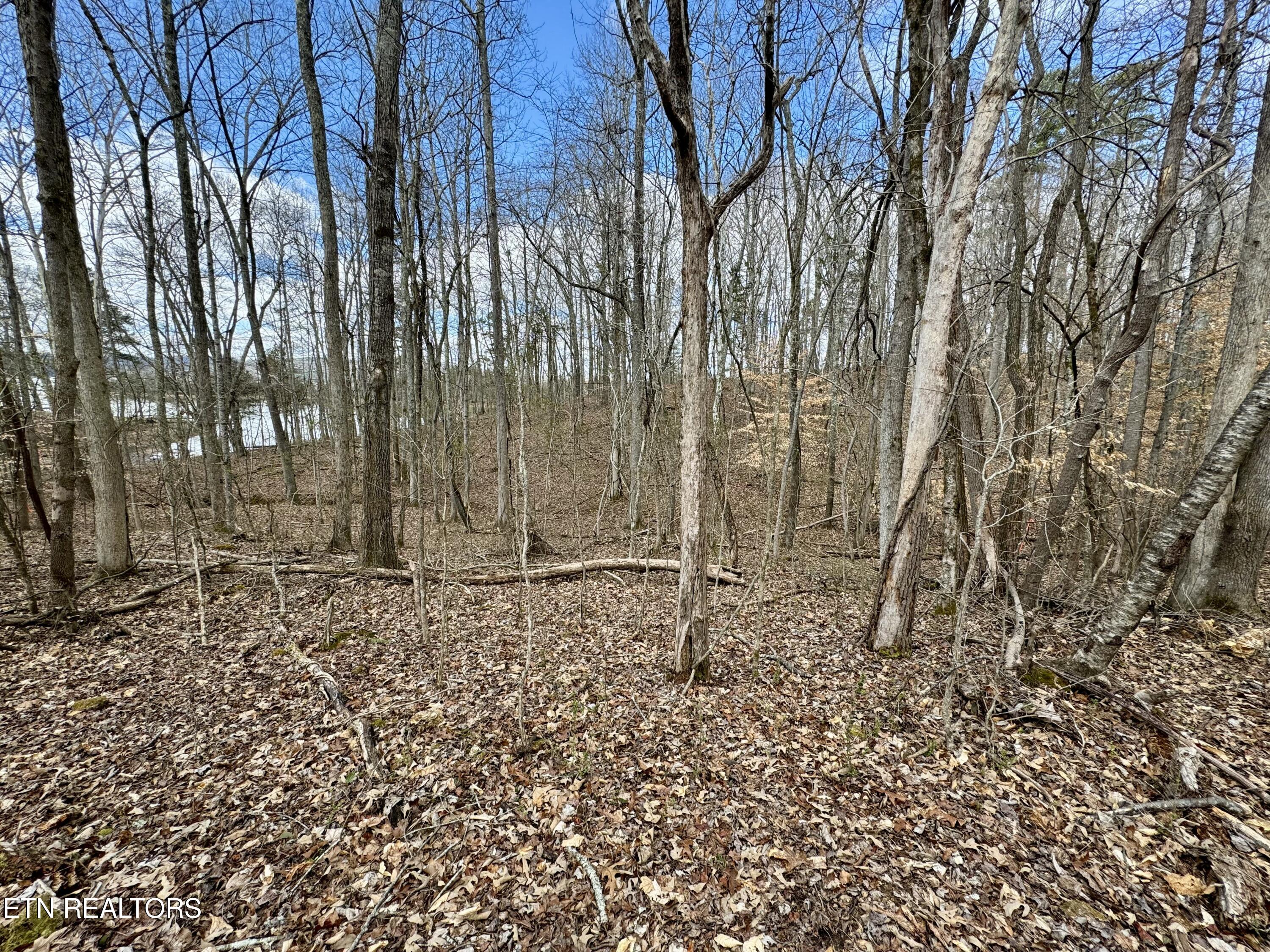 134 Hart Orchard Road Kingston, TN 37763 - Photo 33 of 37 tempImage0XpEpA