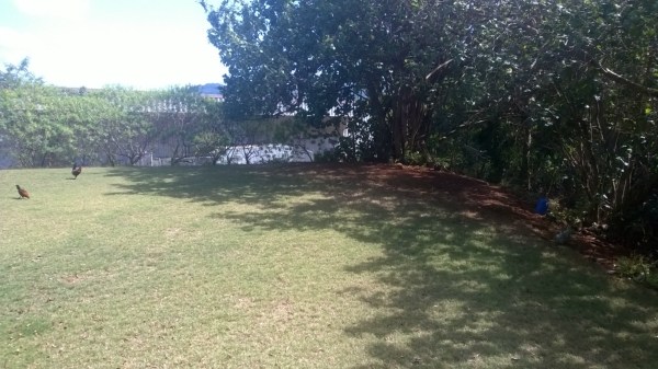 4331 Rice Street Lihue, HI 96766 - Photo 1 of 2 Gallery Image 1