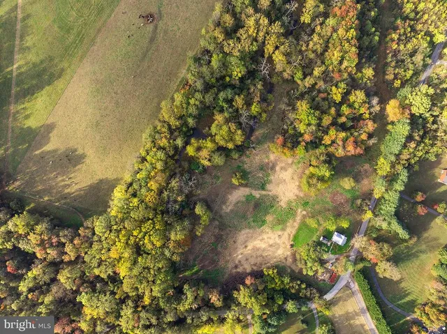 a view of a garden with plants