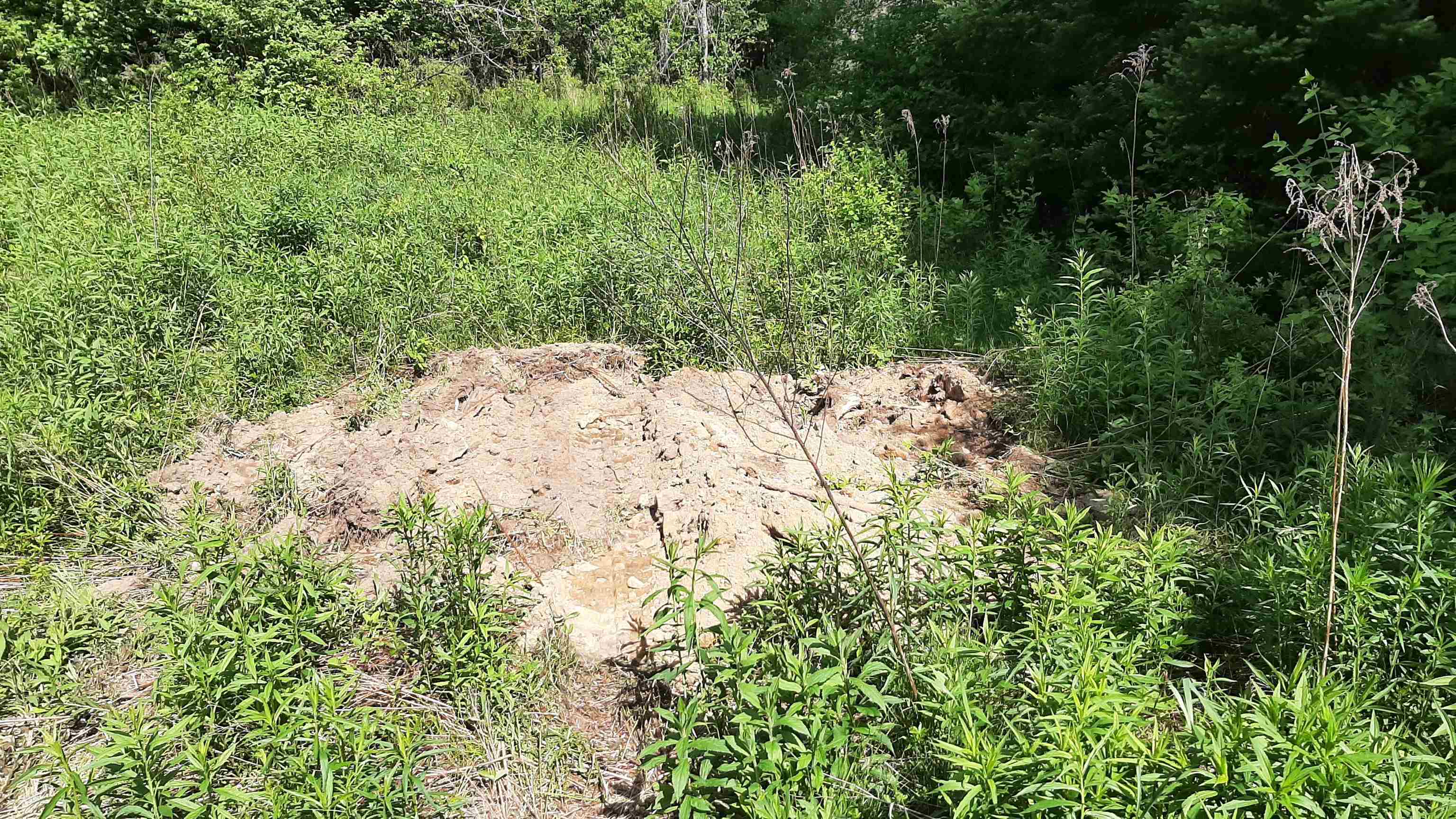 0 Summit Road Mount Holly, VT 05758 - Photo 24 of 37