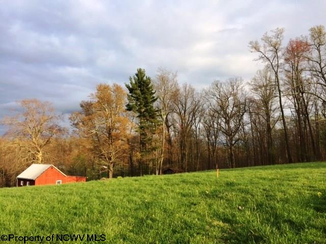 65 Delta Road 23 Reedsville, WV 26547 - Photo 18 of 20 Gallery Image 18