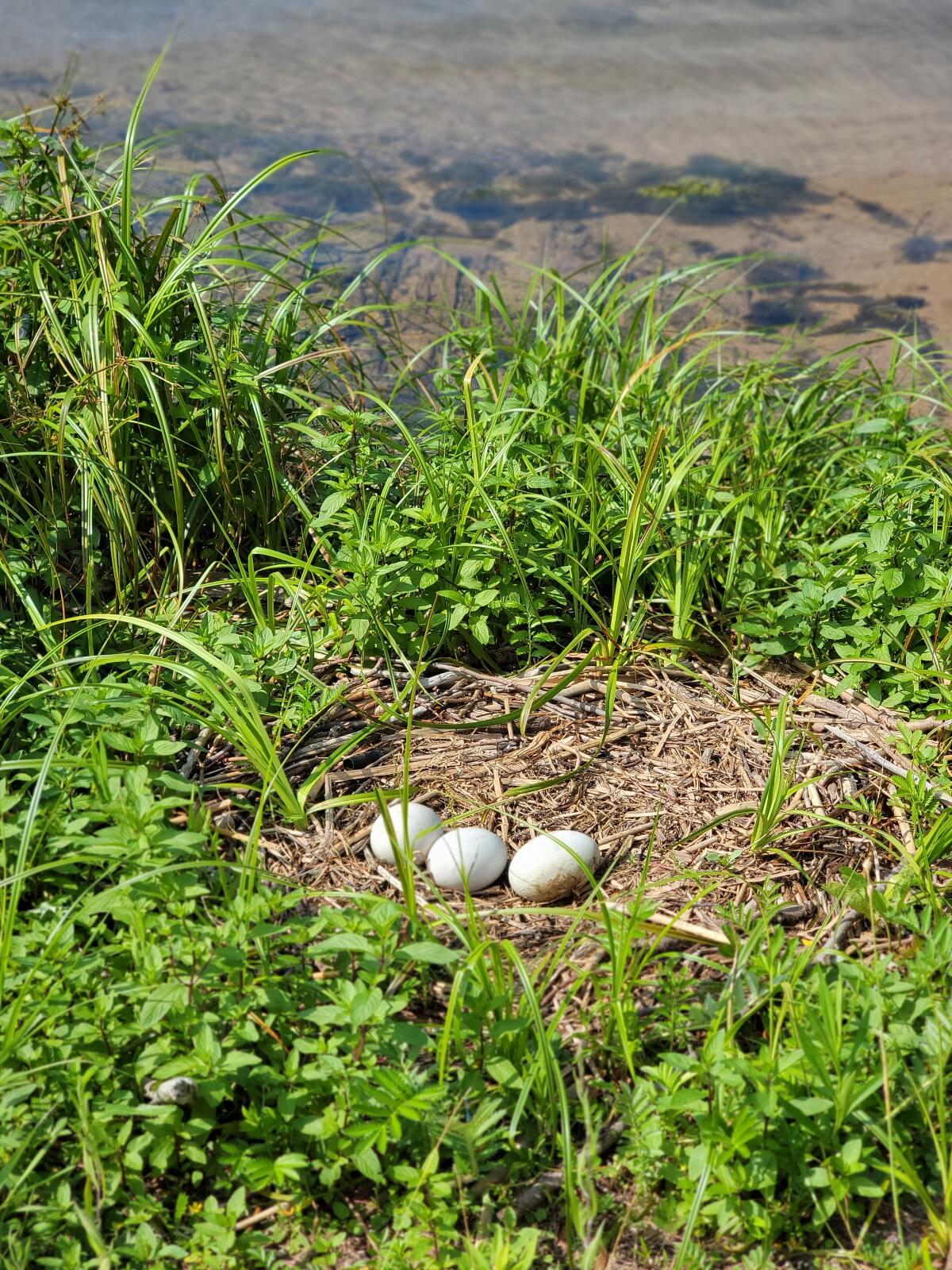 4914 Main Street Onekama, MI 49675 - Photo 22 of 29 20250709_112033