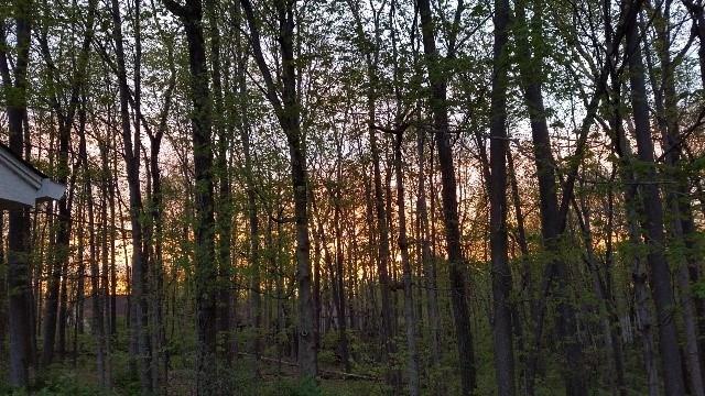 5232 Greenwillow Road Indianapolis, IN 46226 - Photo 21 of 22 Gallery Image 21
