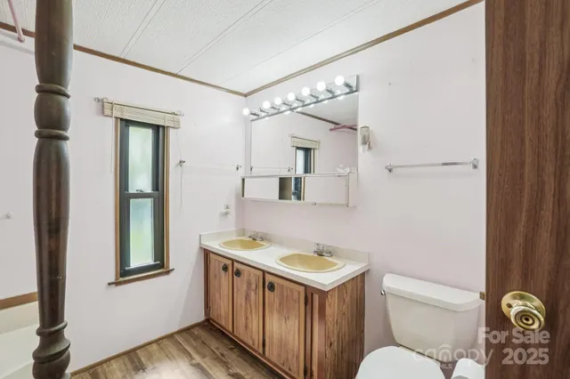 a bathroom with a sink mirror vanity and toilet
