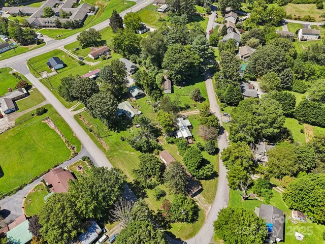 a view of a lush green field with lots of bushes