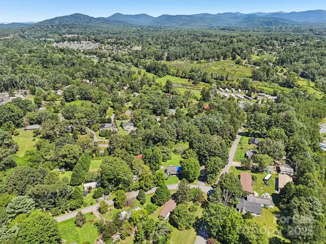 a view of a lush green forest with trees in the background