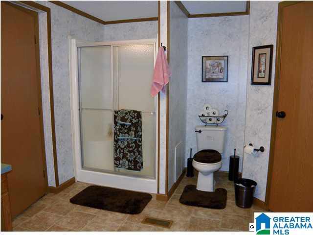 1499 Ray Wyatt Road Ashville, AL 35953 - Photo 25 of 29