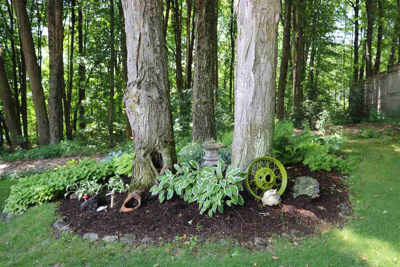 580 Hardscrabble Road Bristol, VT 05443 - Photo 22 of 28