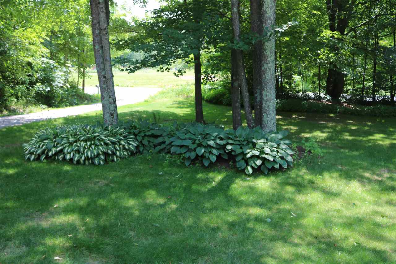 580 Hardscrabble Road Bristol, VT 05443 - Photo 25 of 28