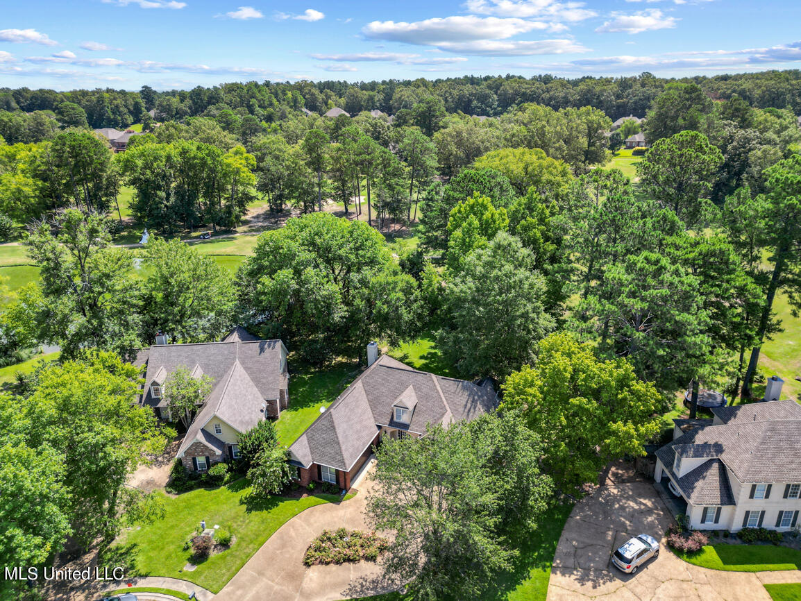 136 Sunflower Road Madison, MS 39110 - Photo 36 of 40 136 Sunflower drone final-2