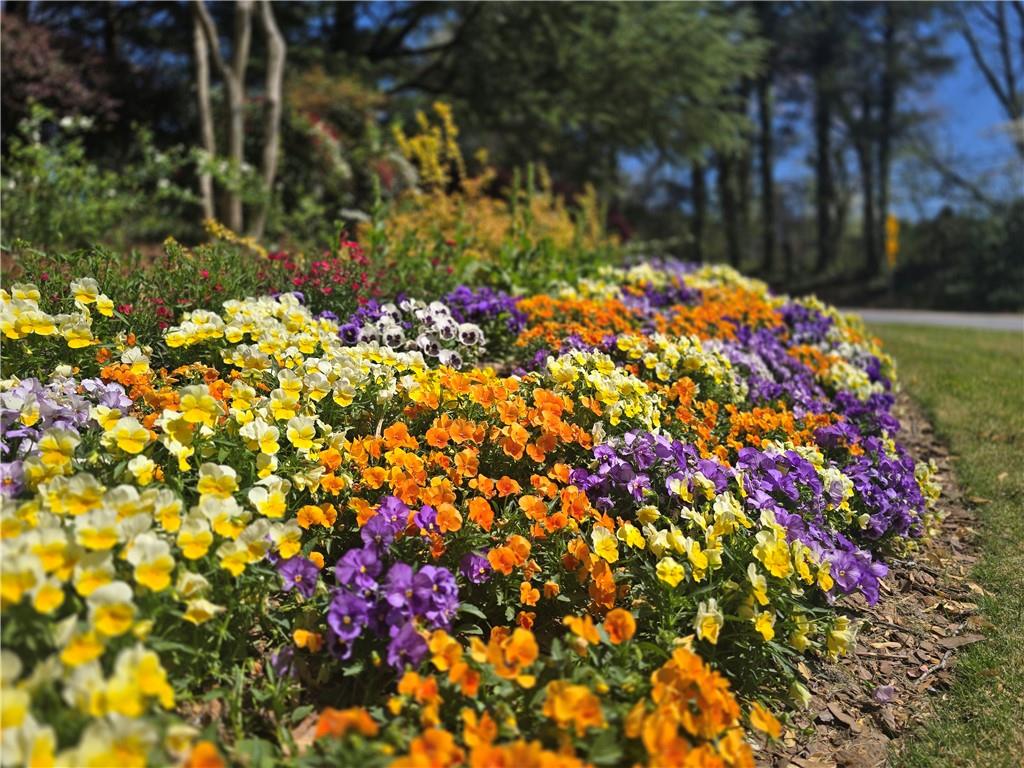 1750 Clairmont Road, Unit 4 Decatur, GA 30033 - Photo 30 of 53