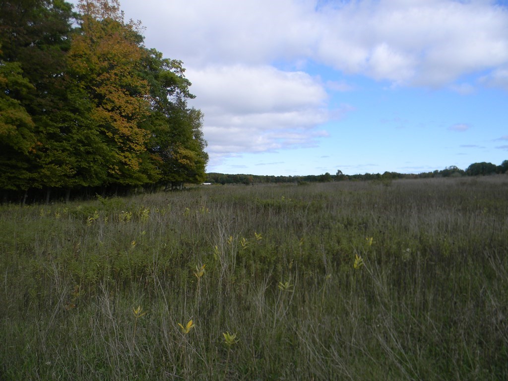 Lot 3 Isle View Road Ellison Bay, WI 54210 - Photo 4 of 4