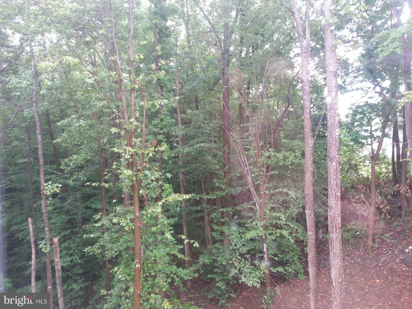 168 Doc Stone Road Stafford, VA 22556 - Photo 19 of 23 View