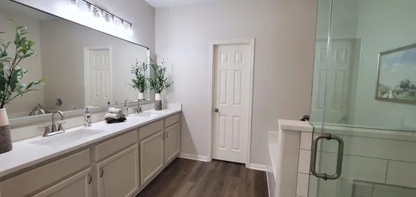 a bathroom with a shower and a sink