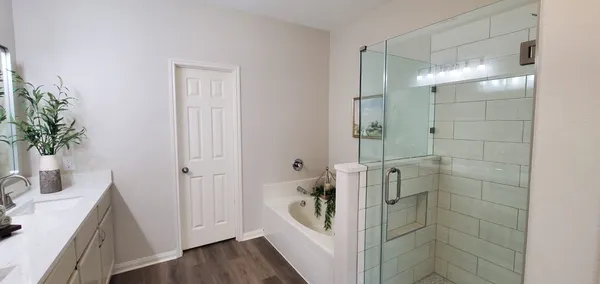 a bathroom with a potted plant and a sink