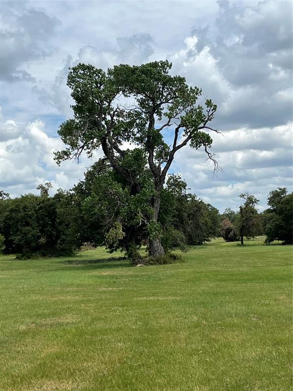 300 Chandler Road Lipan, TX 76462 - Photo 2 of 35 View of grassy yard