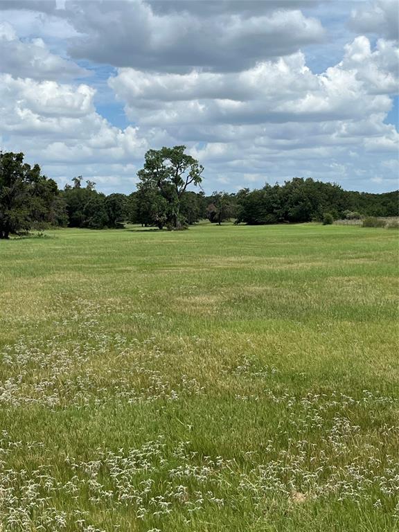 300 Chandler Road Lipan, TX 76462 - Photo 3 of 35 View of undeveloped land with rural landscape
