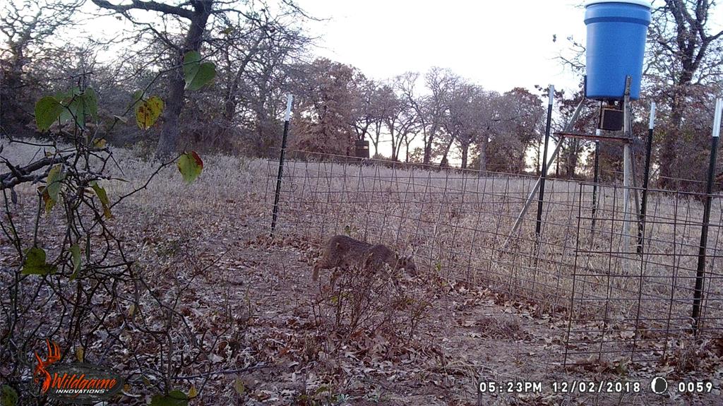 300 Chandler Road Lipan, TX 76462 - Photo 31 of 35 View of yard
