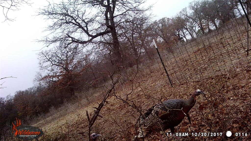 300 Chandler Road Lipan, TX 76462 - Photo 32 of 35 View of local wilderness