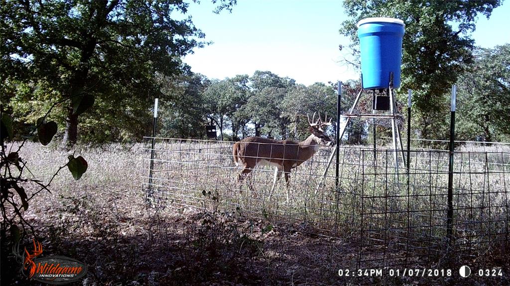 300 Chandler Road Lipan, TX 76462 - Photo 34 of 35 View of yard with view of scattered trees