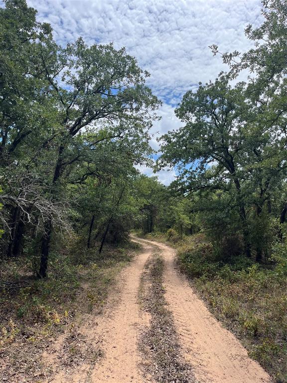 300 Chandler Road Lipan, TX 76462 - Photo 4 of 35 View of dirt / gravel road featuring a view of trees