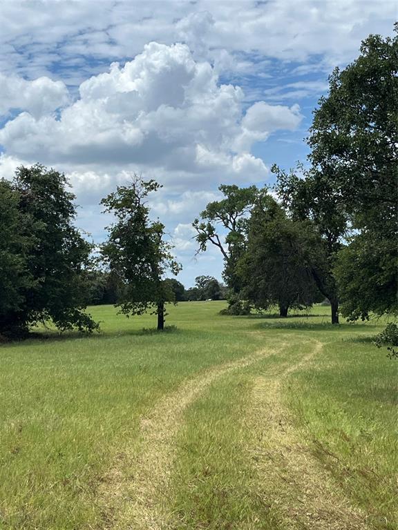 300 Chandler Road Lipan, TX 76462 - Photo 5 of 35 View of yard featuring a view of rural / pastoral area