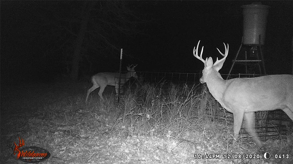 300 Chandler Road Lipan, TX 76462 - Photo 7 of 35 Exterior view