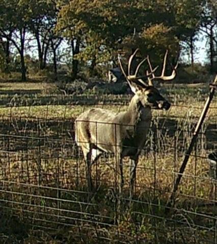300 Chandler Road Lipan, TX 76462 - Photo 8 of 35