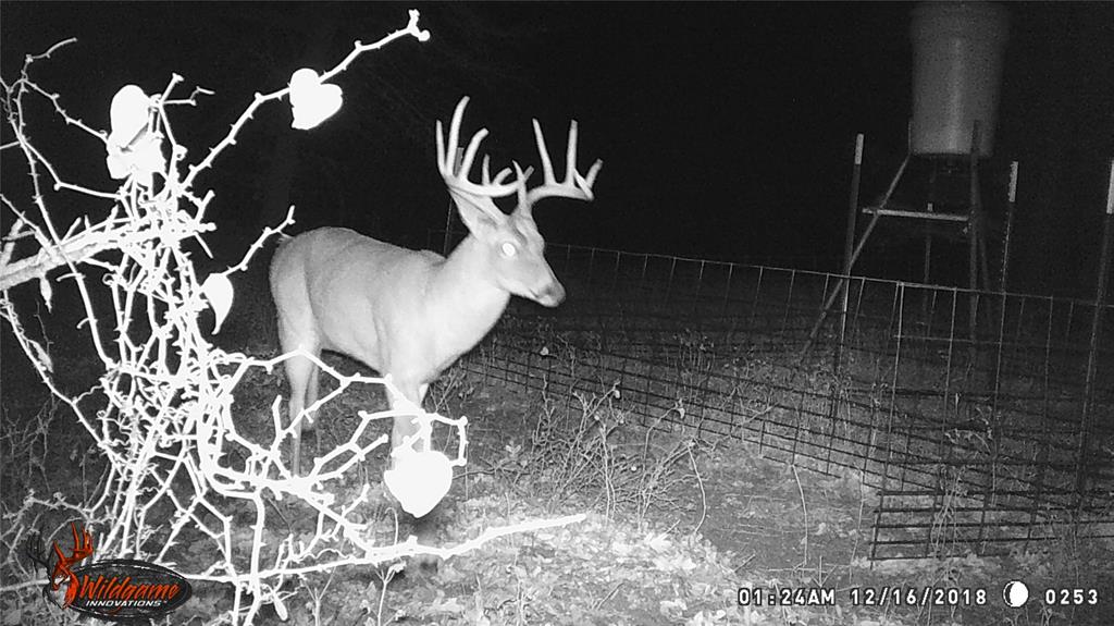 300 Chandler Road Lipan, TX 76462 - Photo 9 of 35 Exterior view