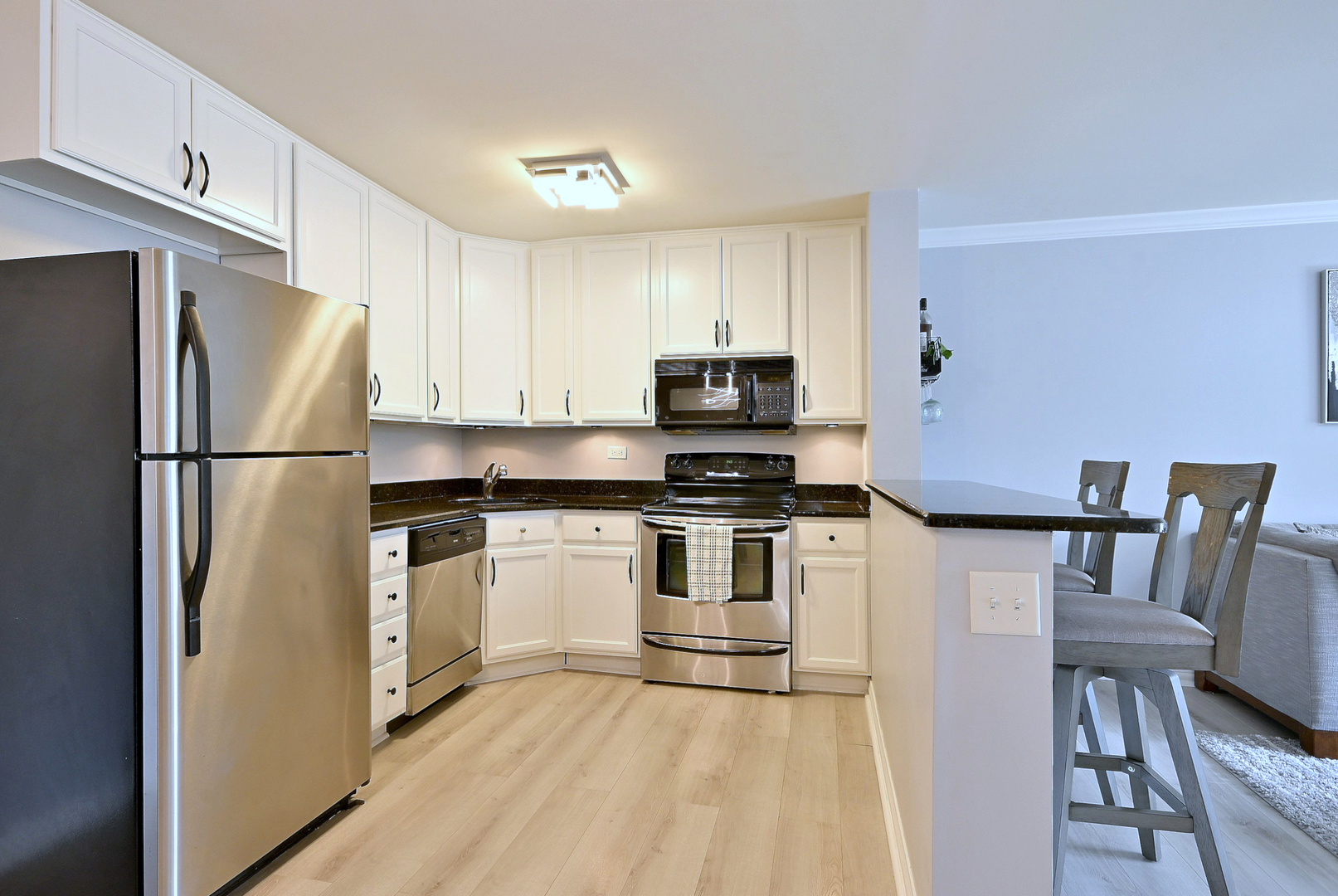 6700 South Brainard Avenue, Unit 110 Countryside, IL 60525 - Photo 4 of 16