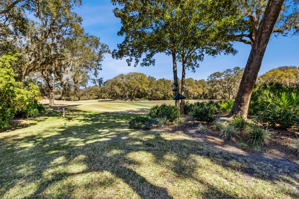 10 Marsh Creek Road Amelia Island, FL 32034 - Photo 46 of 73 a view of a yard with a tree
