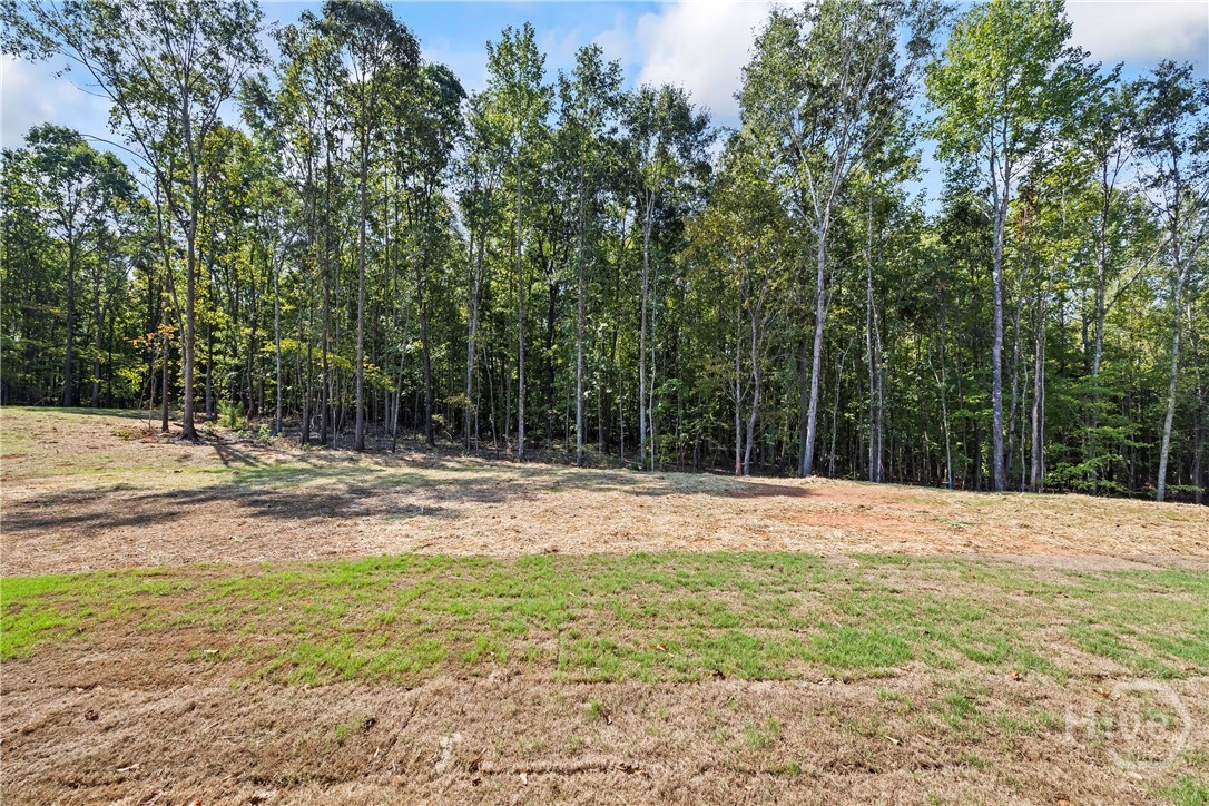 1903 Hoods Mill Road, Unit LOT 2 Jefferson, GA 30549 - Photo 61 of 70 Gallery Image 61